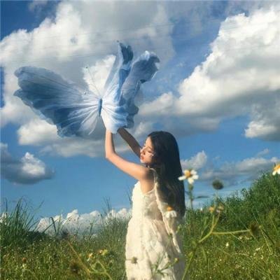森林 在线观看